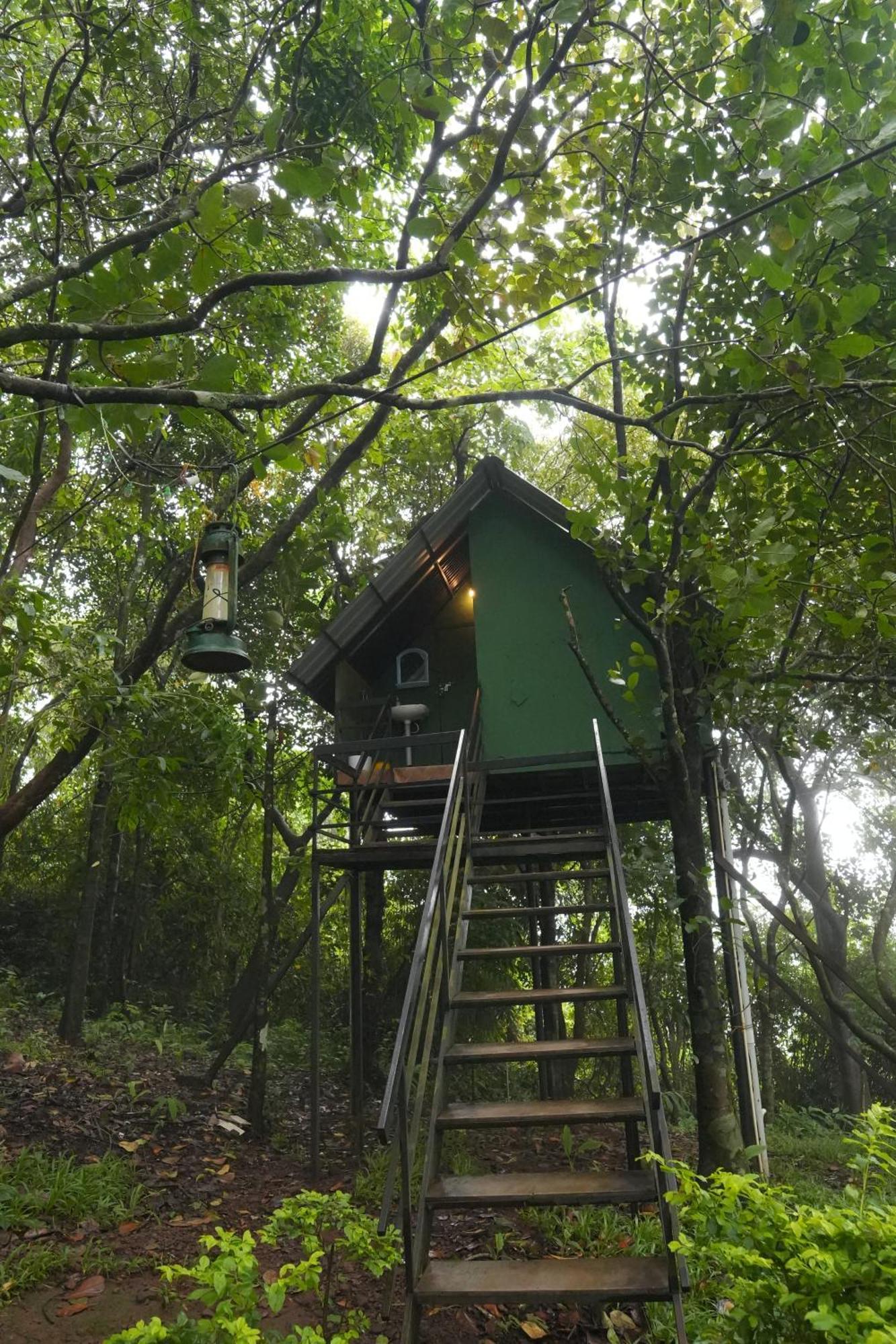 Regina Silva Camping & Nature Resort Paithalmala Zewnętrze zdjęcie